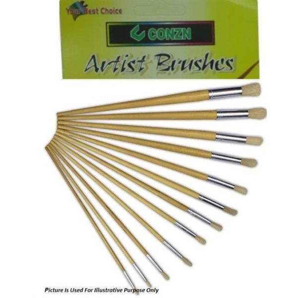 Brainware Artist 12 Nylon Brush Set