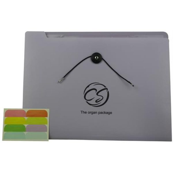 Brainware 8 Compartment Expanding File Organiser Purple