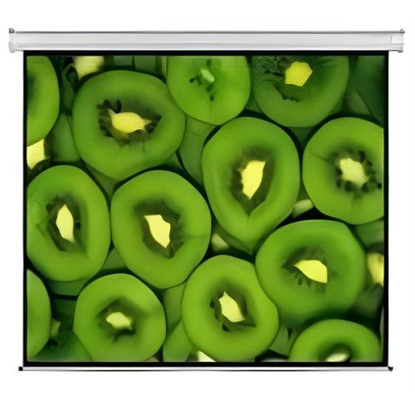 Esquire Electric Projector Screen 300 X 169