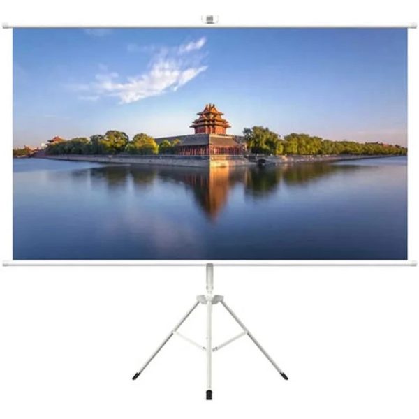 HTPNEO 100 Inch Portable Projector Screen With Tripod Stand